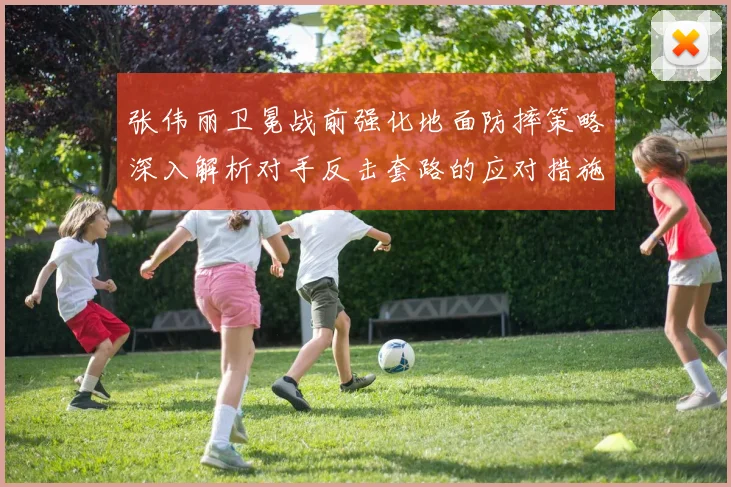 张伟丽卫冕战前强化地面防摔策略深入解析对手反击套路的应对措施